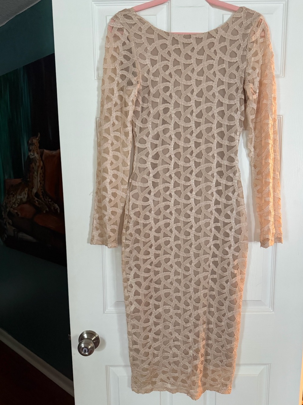 Nude Lace Long-Sleeve bodycon Dress